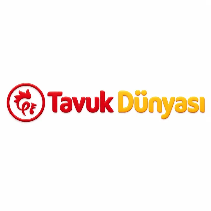Tavuk Dünyası City Mall