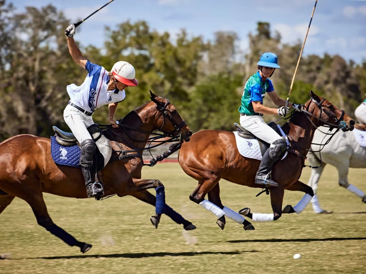U.S. Polo Assn. görseli